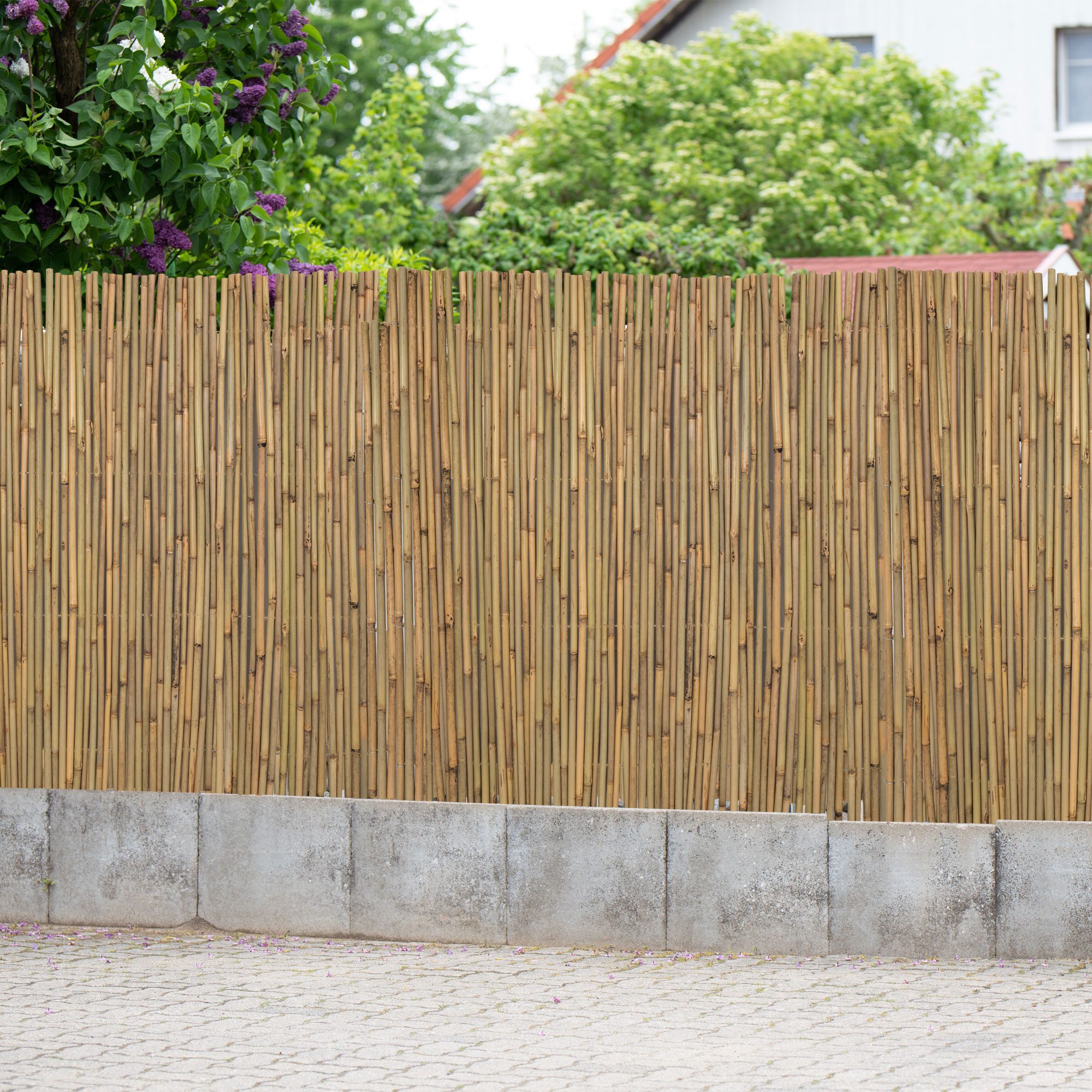 Rete di bambù per privacy come separazione del giardino davanti a un cespuglio e una casa sullo sfondo