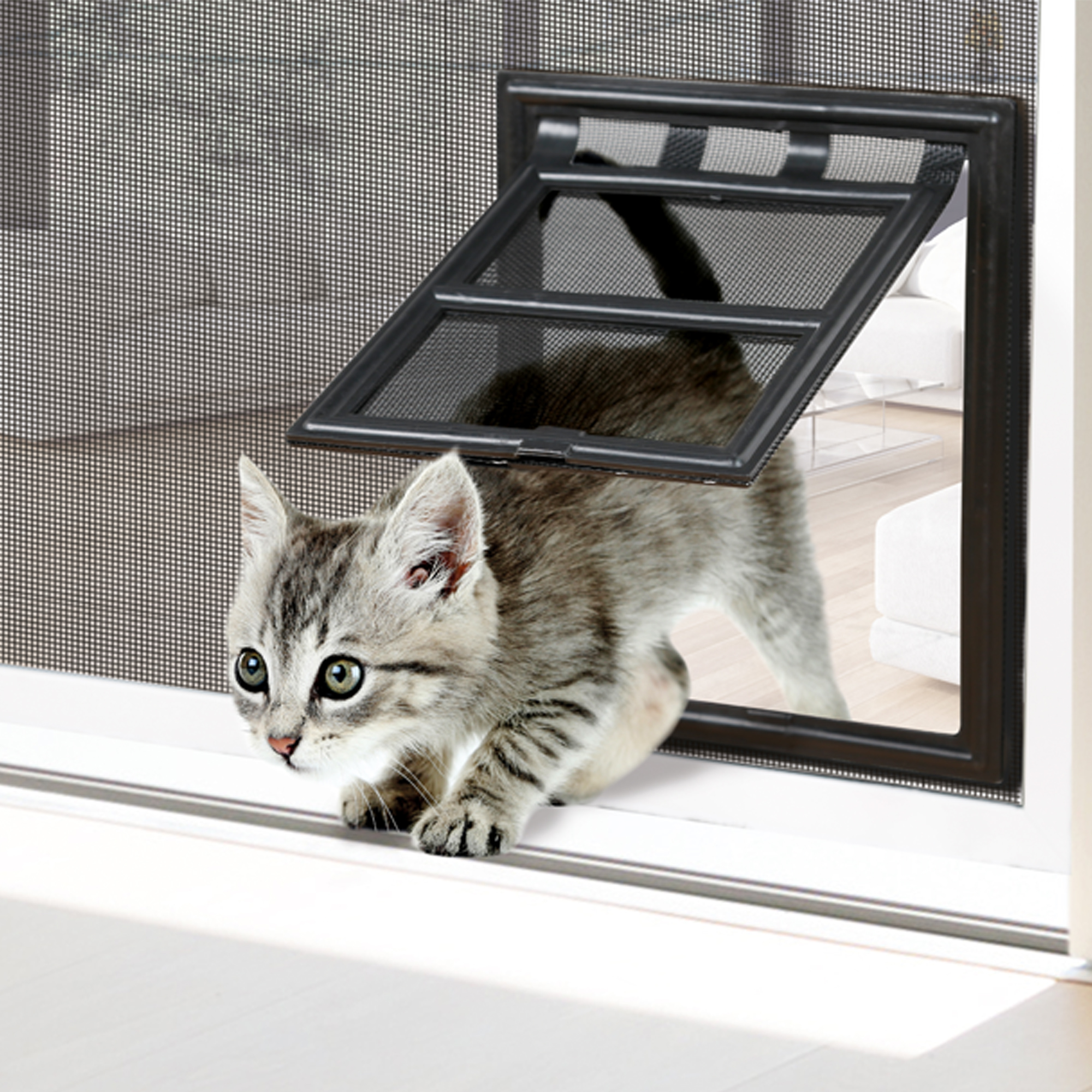 Porta per gatti in porta a rete con un gatto che passa attraverso