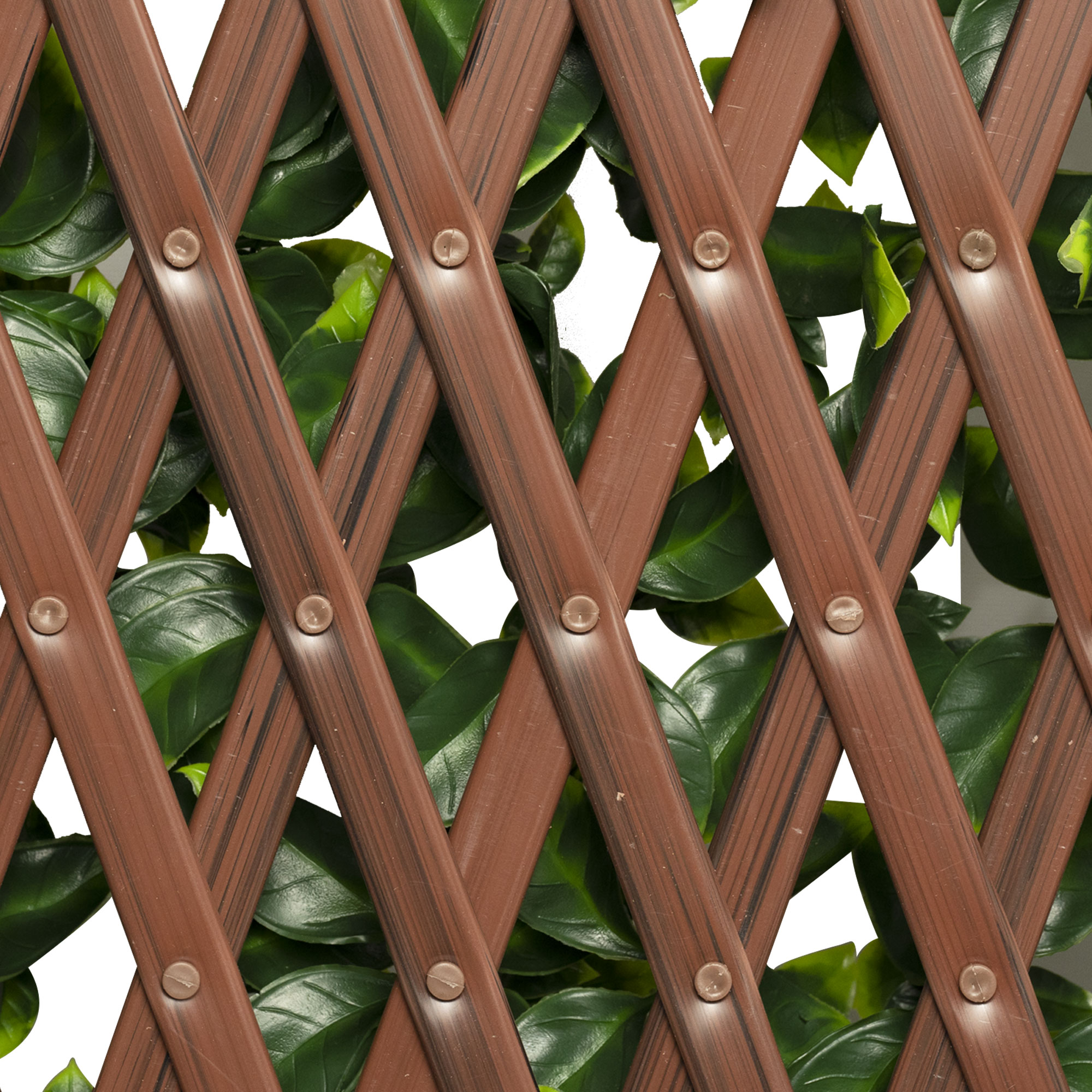 Parete di piante artificiali con struttura a griglia e foglie sullo sfondo