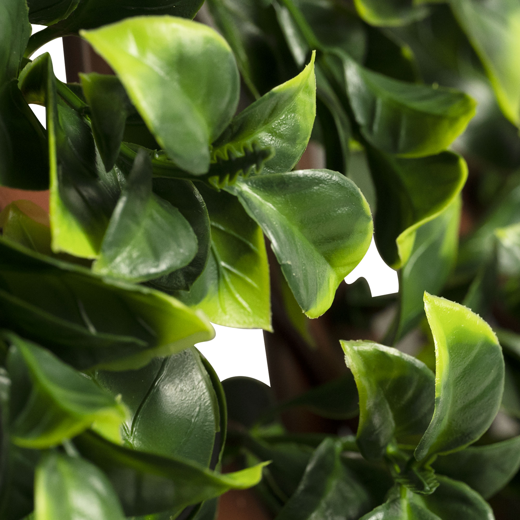 Parete di piante artificiali con fogliame denso in primo piano